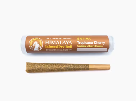 Photograph of product: HIMALAYA | Tropicana Cherry | Diamond Infused Preroll | 1g