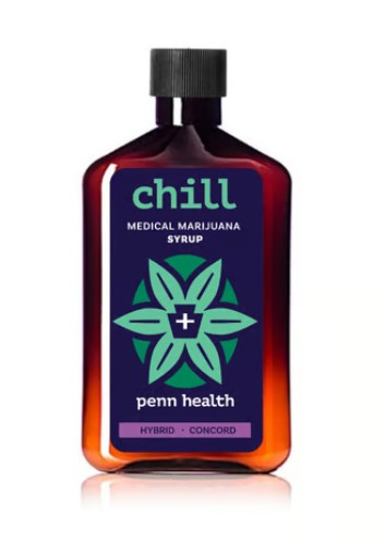 Photograph of product: Chill Concord Syrup | 500mg/250 mL