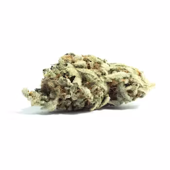 Photograph of product: Elysium | Wingsuit | Flower | Bulk/Deli - 14g