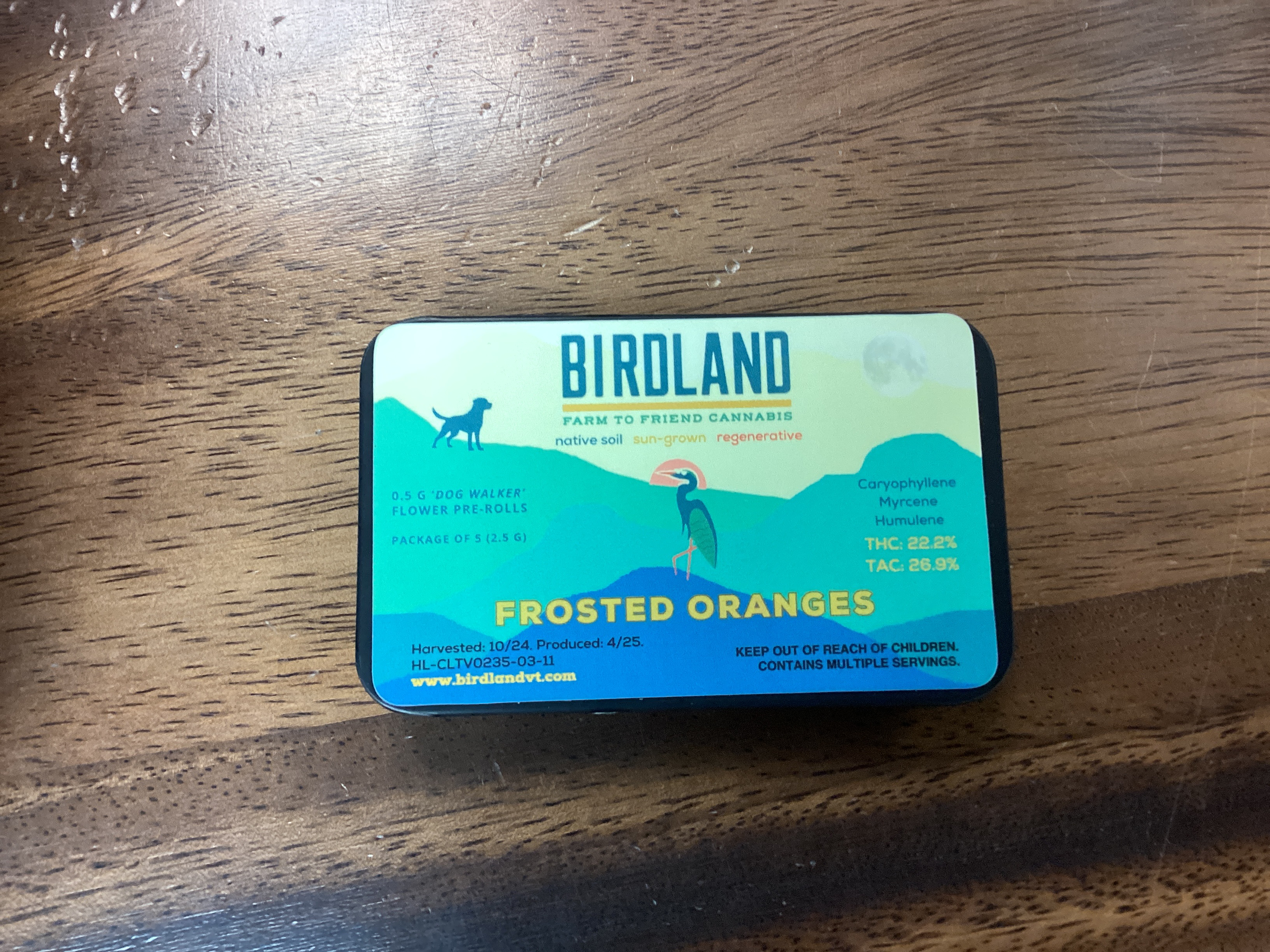 Photograph of product: Frosted Oranges- 5pack