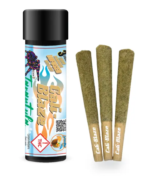 Photograph of product: Cali-Blaze Tarantula Infused Pre-Roll 3Pk (3g) - Mango (Gelonade) (S)
