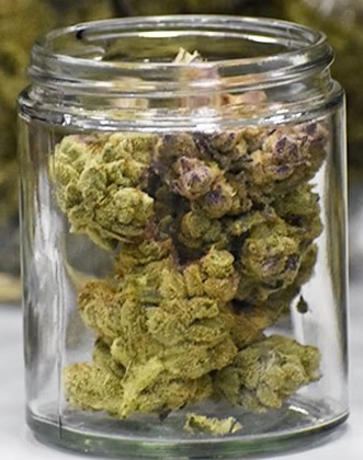 Photograph of product: MED - Freeze Cured 1/8ths - Grape Gas - 28g