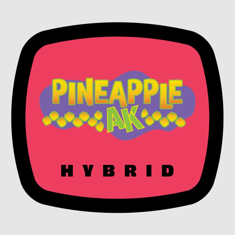 Photograph of product: Premium Shelf 93 Boyz Pineapple AK (H) - 3.5g