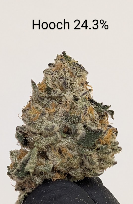 Photograph of product: Hooch - 3.5g