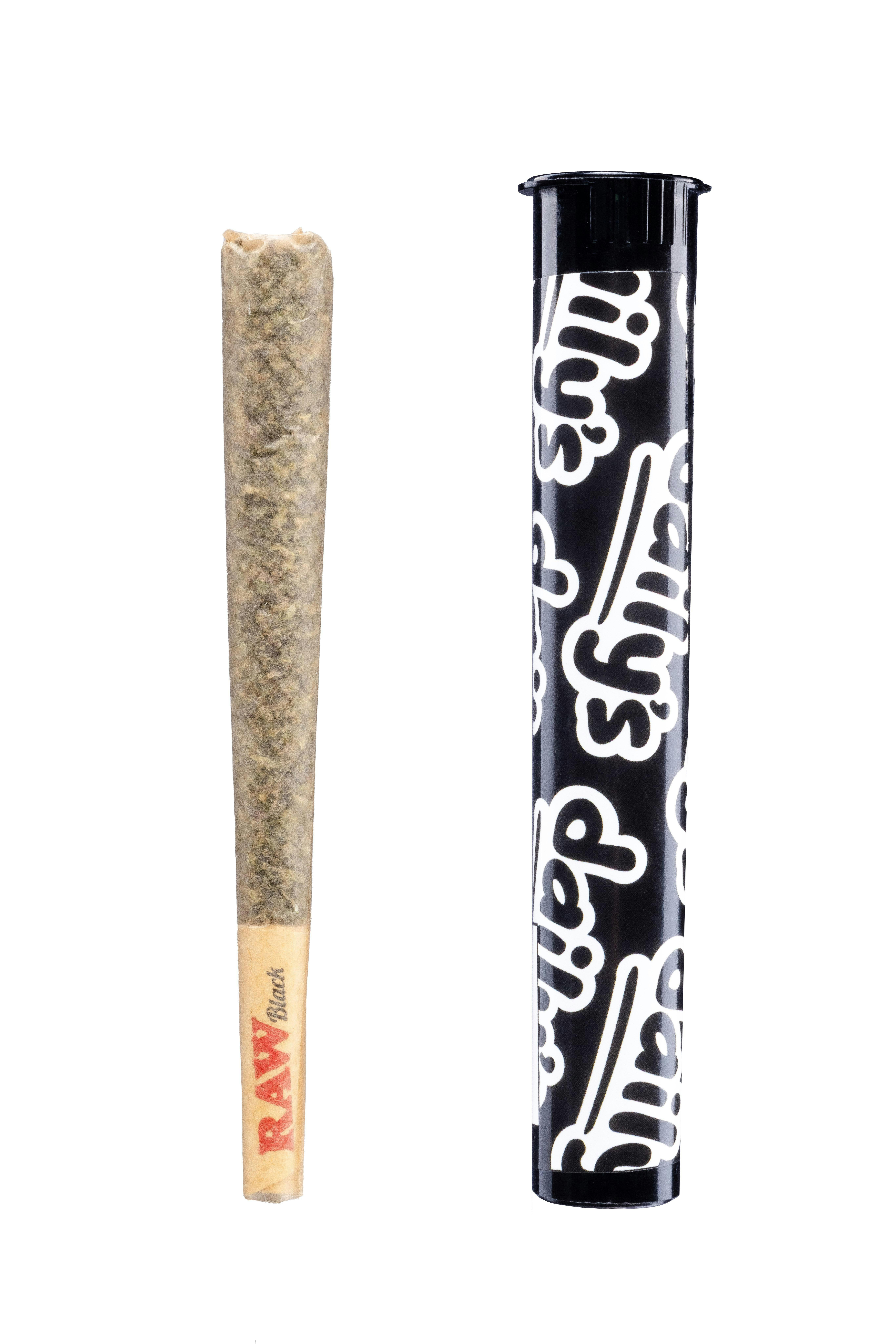 Photograph of Product: DAILY PREROLL | PREMIUM UNLEADED
