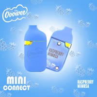 Photograph of product: Raspberry Mimosa (B) Mini Disposable Vape | 1g