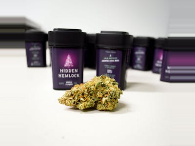 Photograph of product: Orange Alien Cookies (HH) Flower - 28g