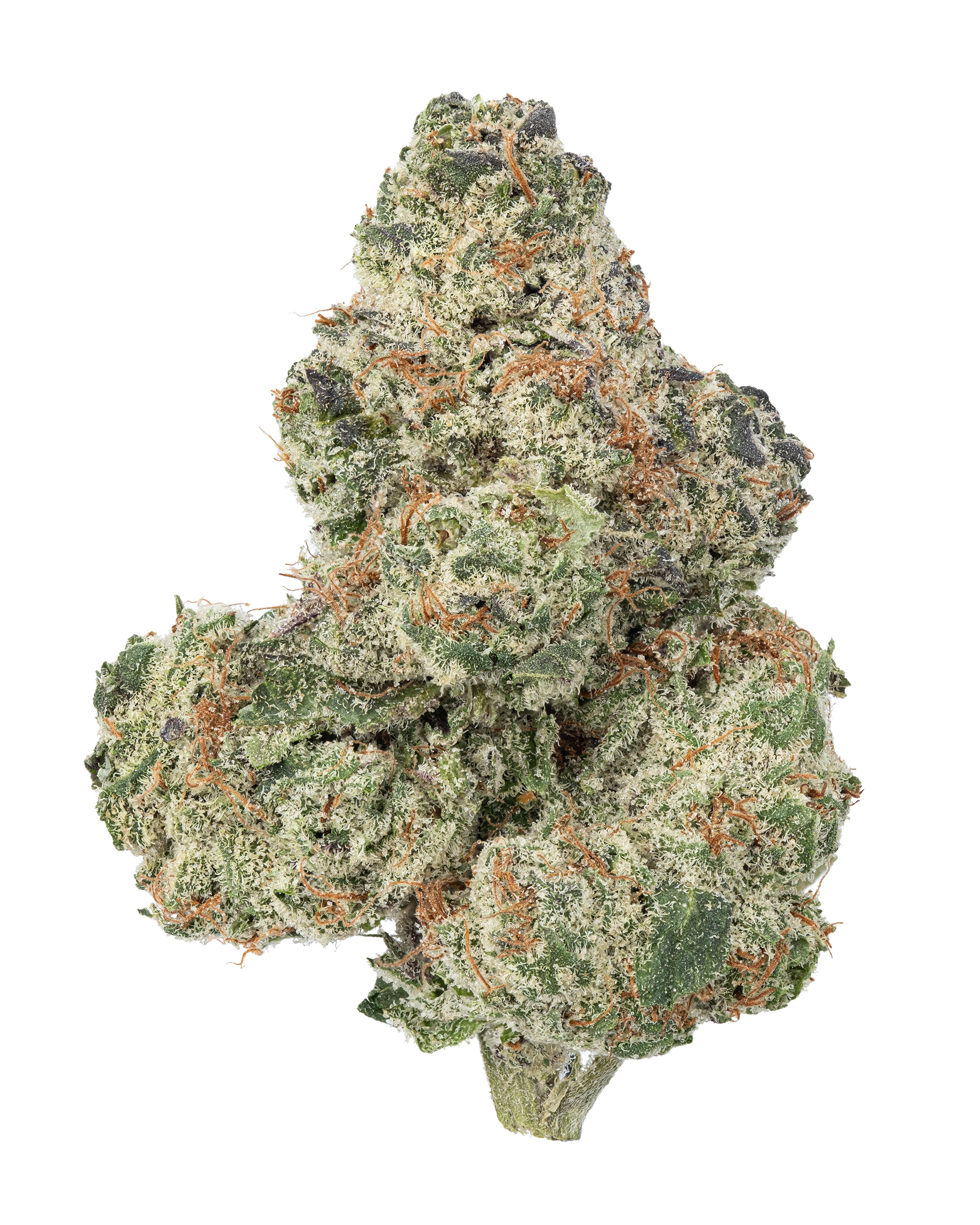 Photograph of product: Lemon Tree x Lemon Party - 28g