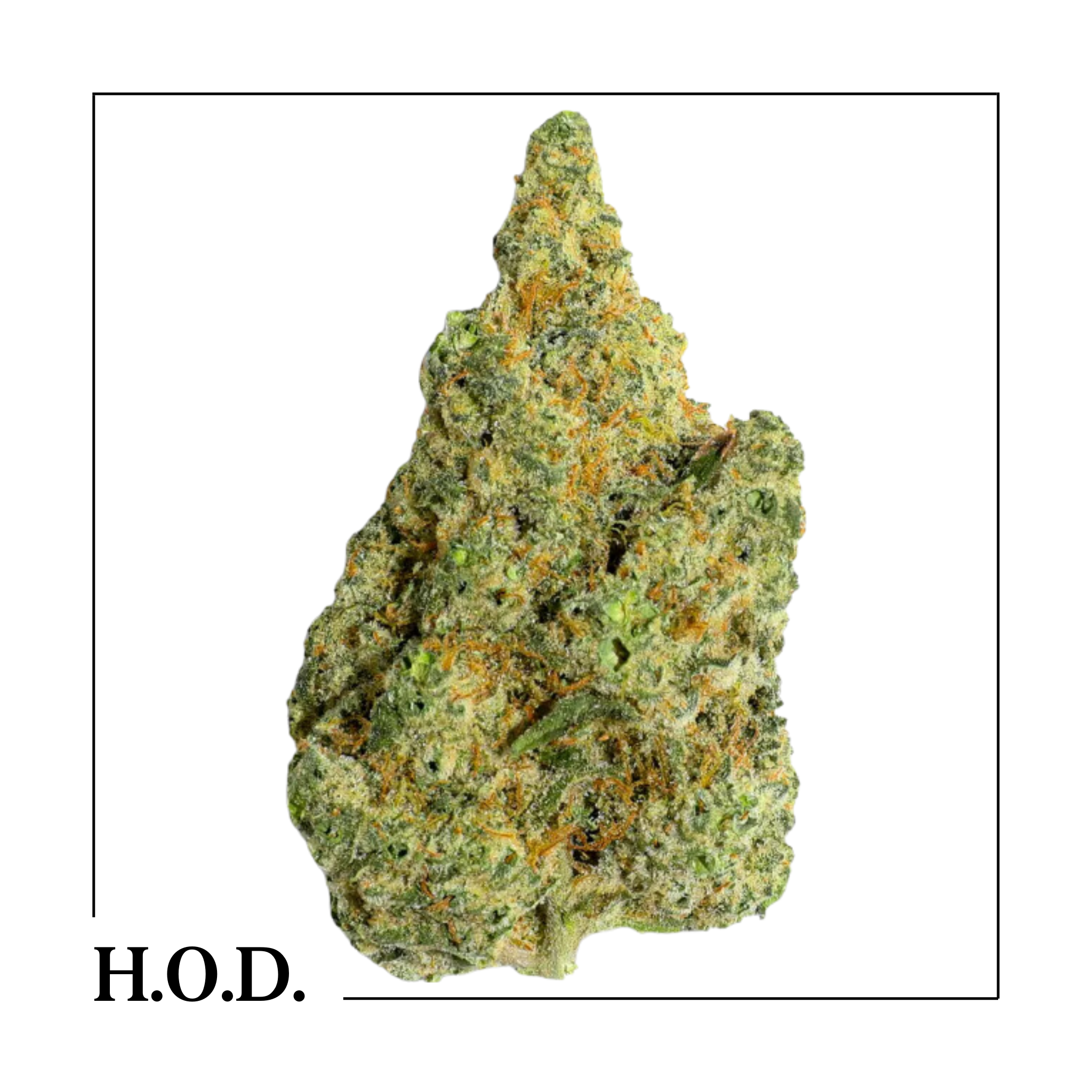 Photograph of product: Mango Mintality 3.5g