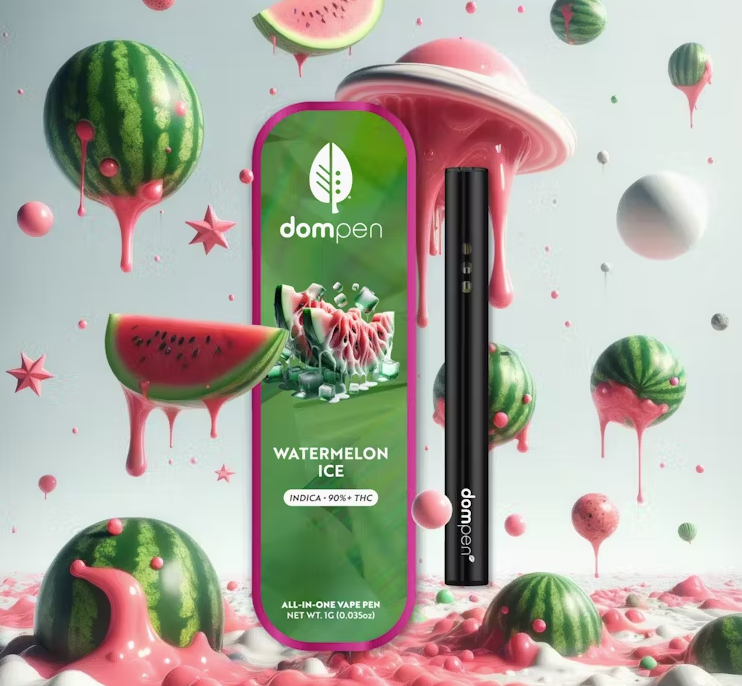 Photograph of product: Dompen - Watermelon Ice Disposable (1g)
