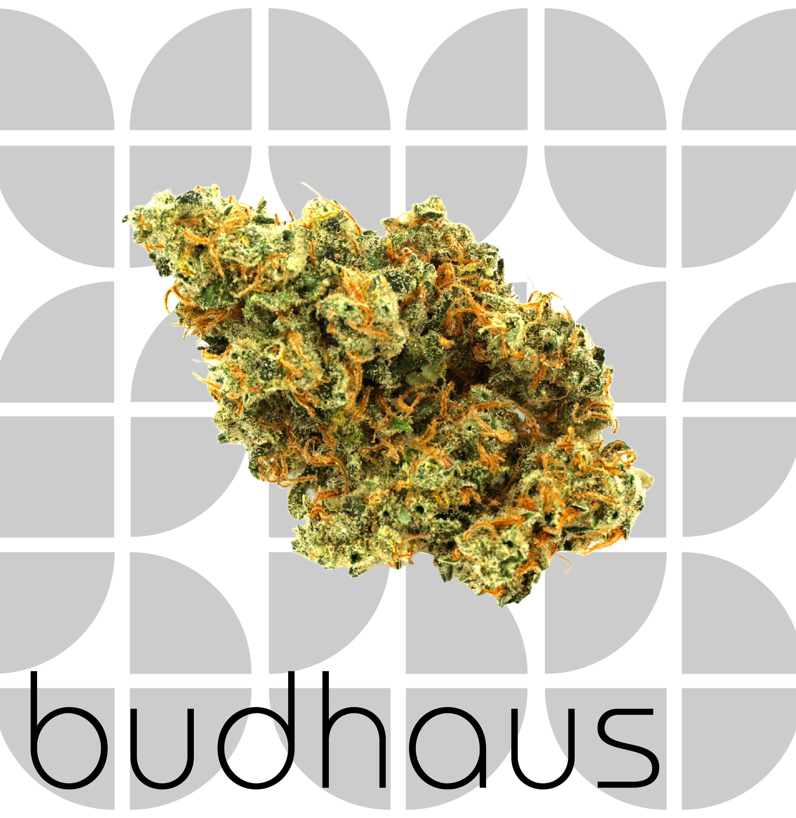 Photograph of product: Ghost Train Haze - Half Ounce Pre-ground Bud - 14g