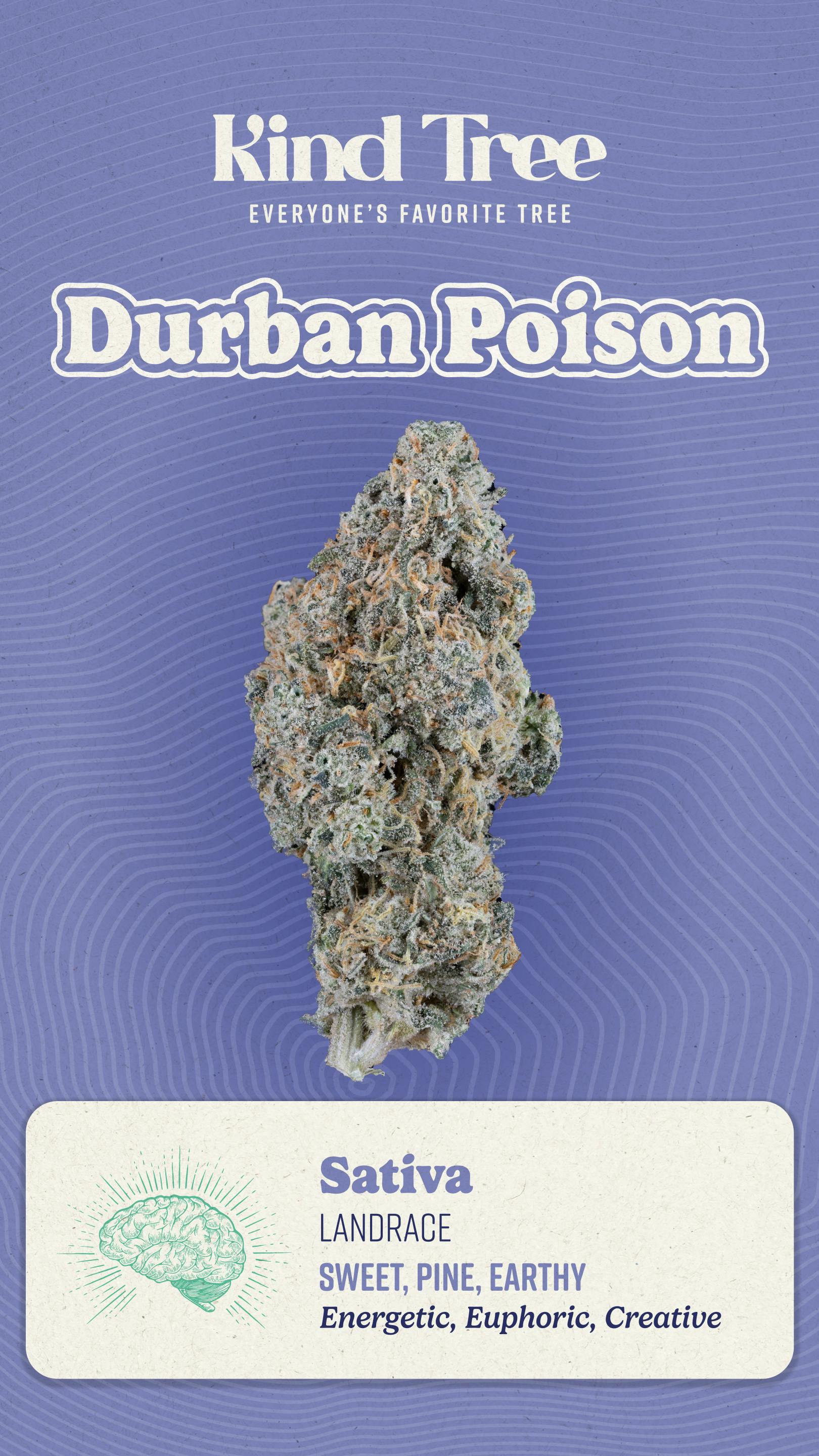 Photograph of product: Durban Poison I 7g I Littles I Kind Tree