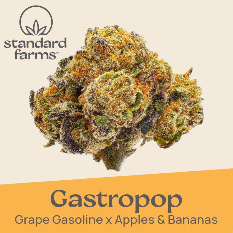 Photograph of product: Gastropop #2 | 7g