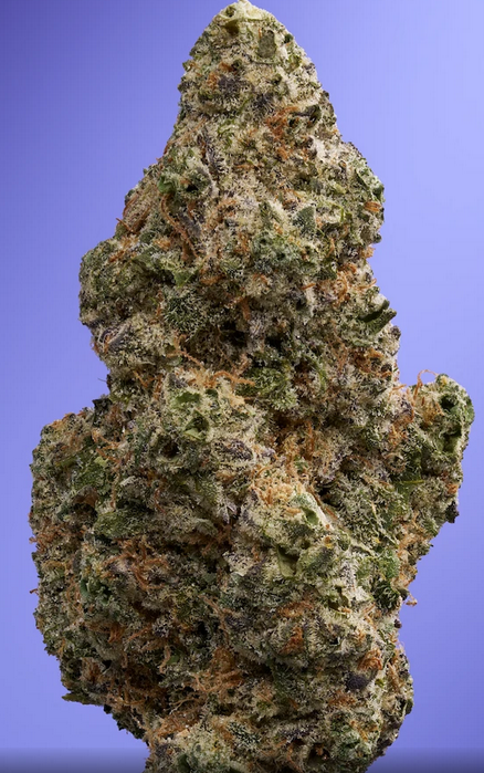 Photograph of product: Florette: Purple Starfruit 3.5 - 3.5g