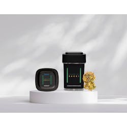 Photograph of product: Sacci - Flower - Hazmat (S) - 3.5g