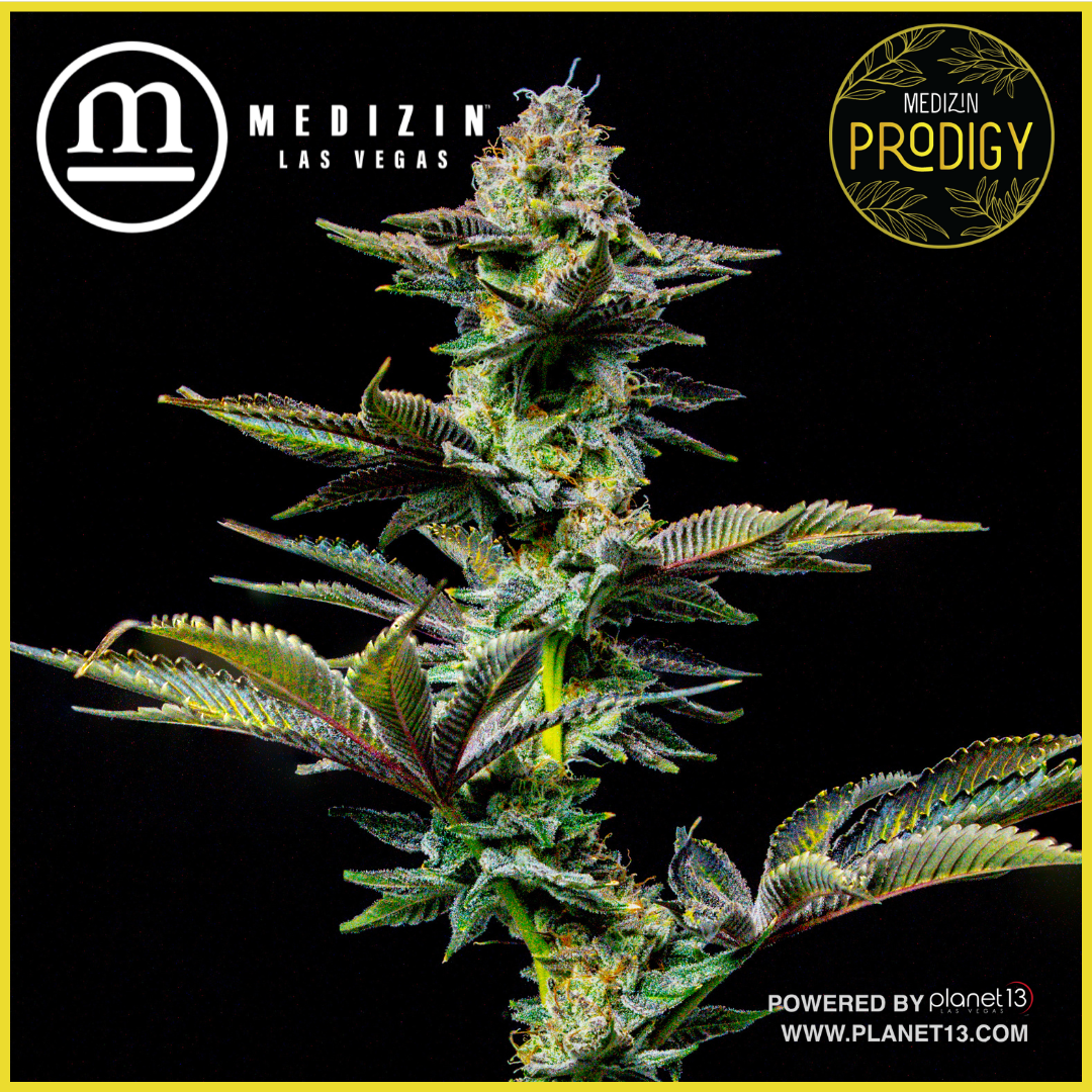 Photograph of product: Prodigy 3.5g Prepack