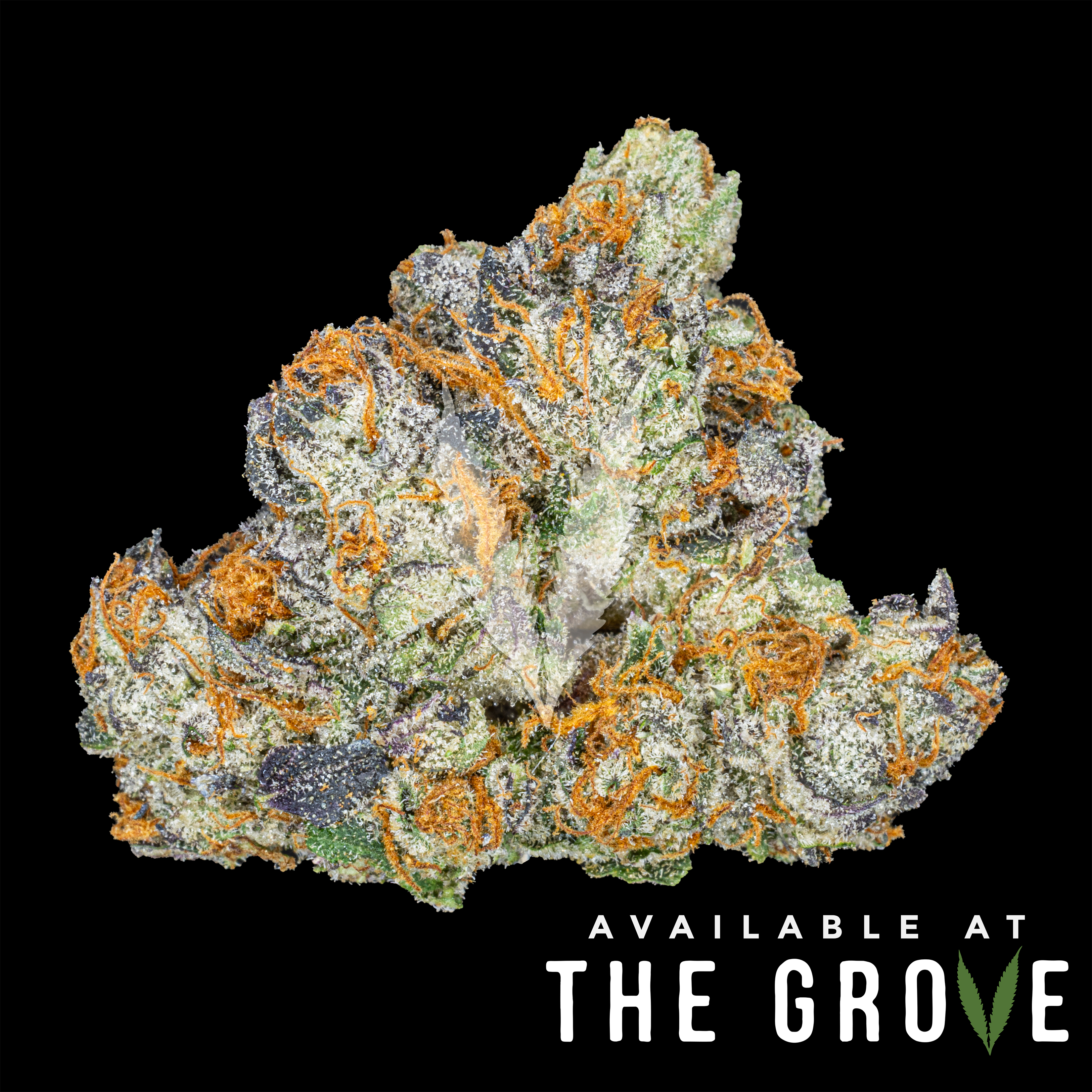 Photograph of product: BLEM | BREDDA 1/8th - 3.5g