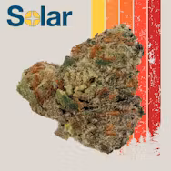 Photograph of product: Chocolope | Flower | 3.5g