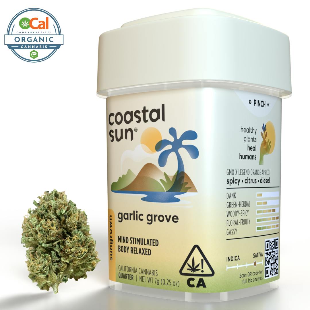 Photograph of product: Coastal Sun | Flower S/H | Garlic Grove - 7g