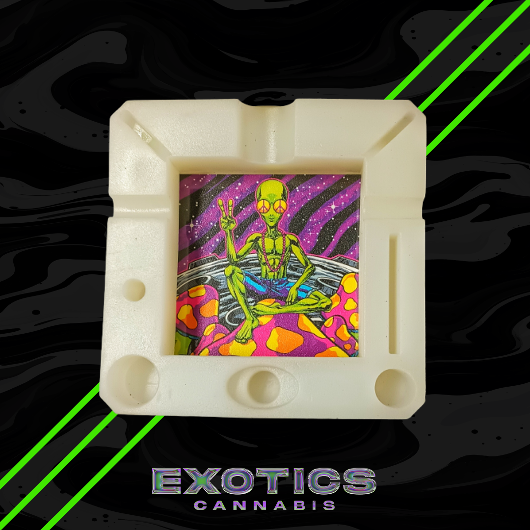 Photograph of product: Butt Bucket Glow in the Dark And blue light Ash Tray