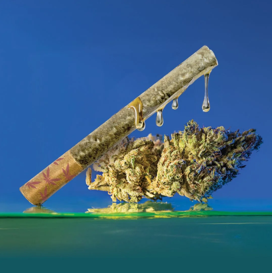 Photograph of product: Resin Infused Zookies (1 G Pre Roll)