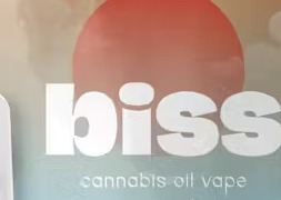 Photograph of product: BISS | Pina Colada | 1g Vape Cart