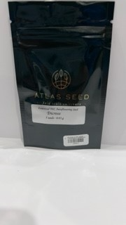 Photograph of product: TriCross 5 Pack Seeds - Atlas Seeds