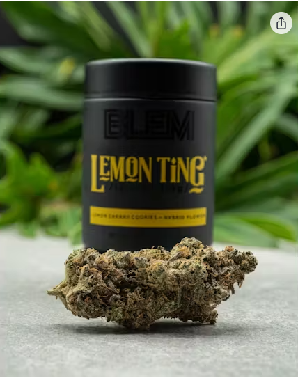 Photograph of product: Flower   Lemon Ting [H] - 3.5g