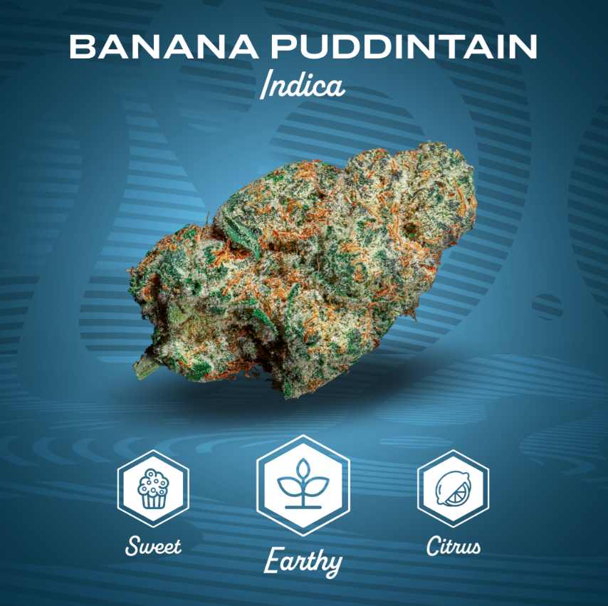 Photograph of product: Banana Puddintain (I) 3.5g