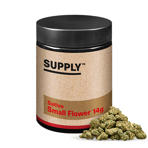Photograph of product: GMO Pop -  14g