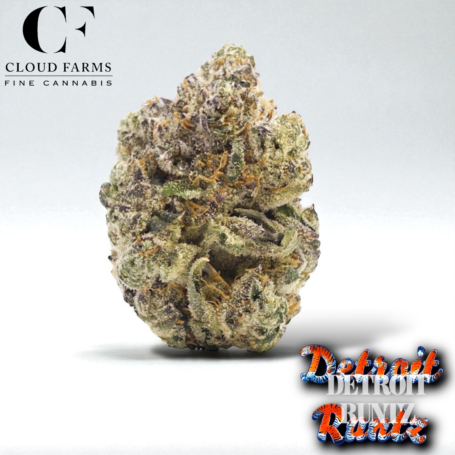 Photograph of product: Cloud Farms | Detroit Runtz - 28g