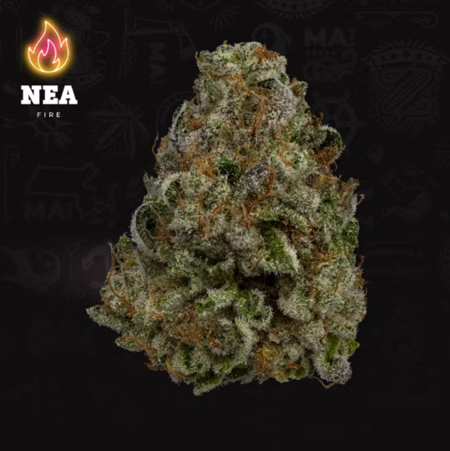 Photograph of product: Flower - Gary Payton - 14g