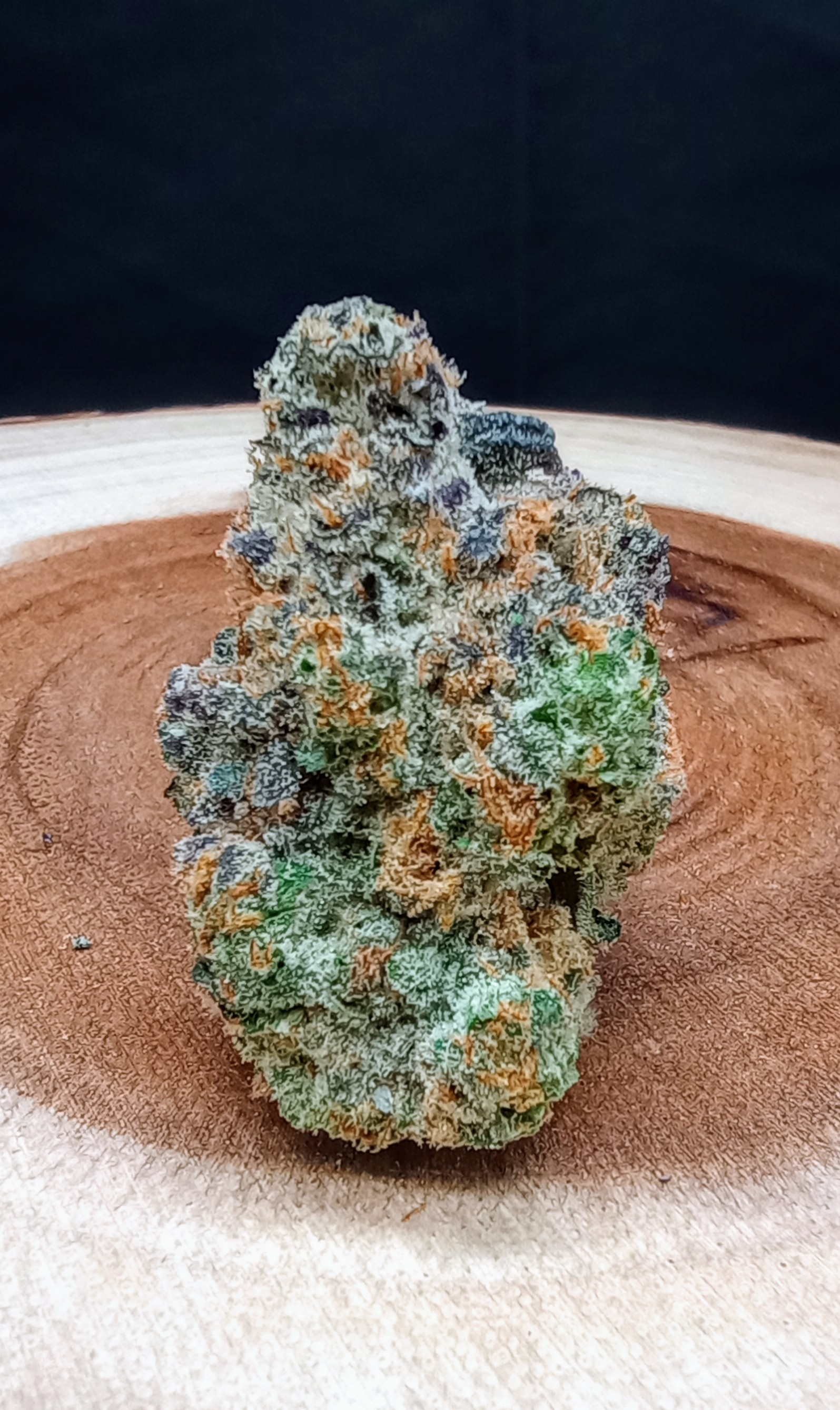 Photograph of Product: Camp Comfort - 1.2g