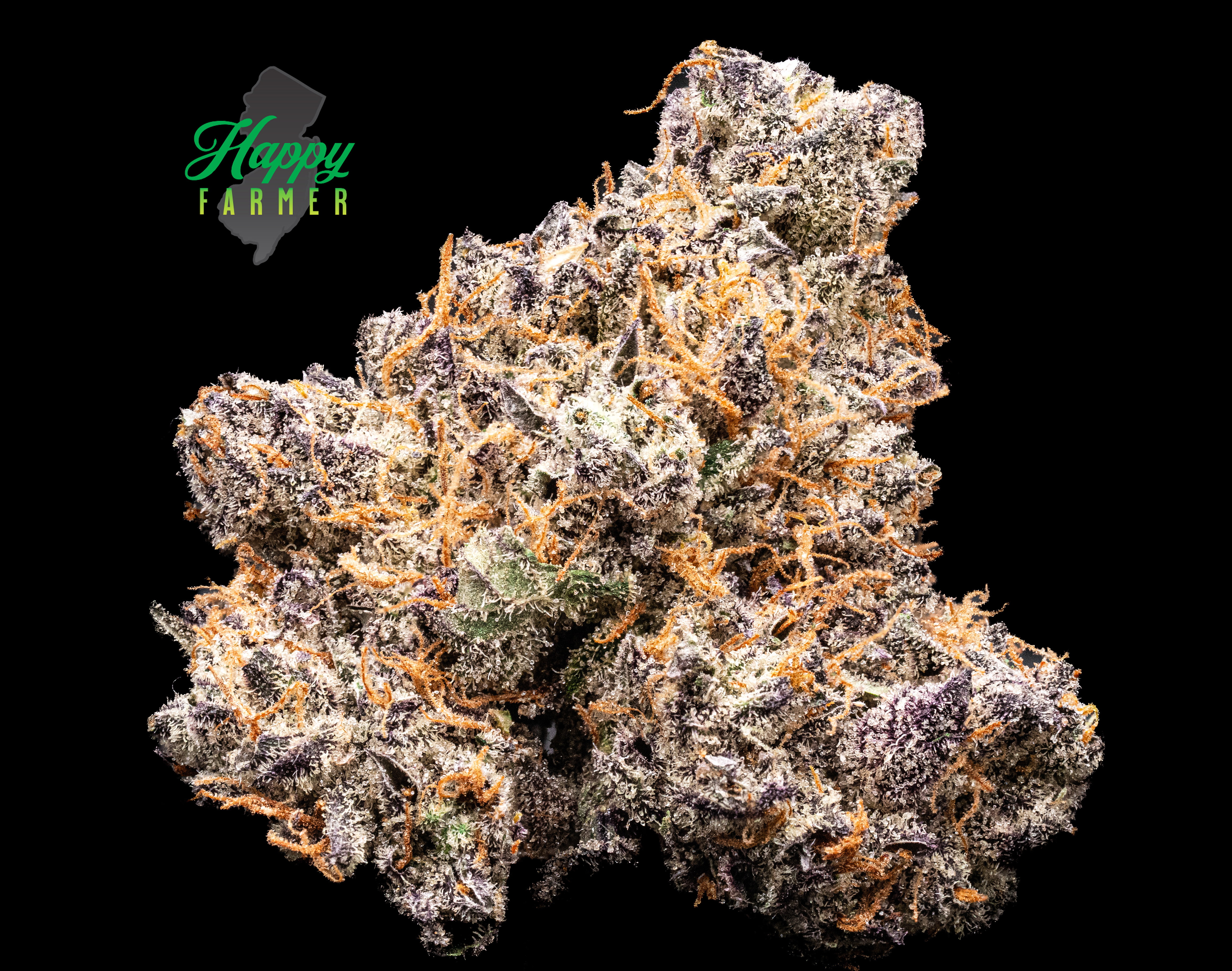 Photograph of product: Flower | Candied Garlic - 3.5g