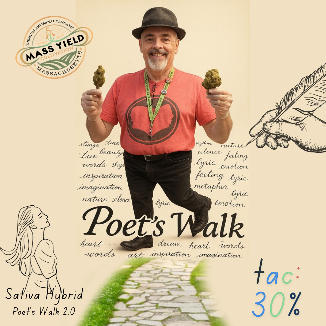 Photograph of product: Mass Yield - Poets Walk Deli Style Flower - 28g