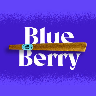 Photograph of product: Doinks | Infused Blunt | Blueberry | 1g