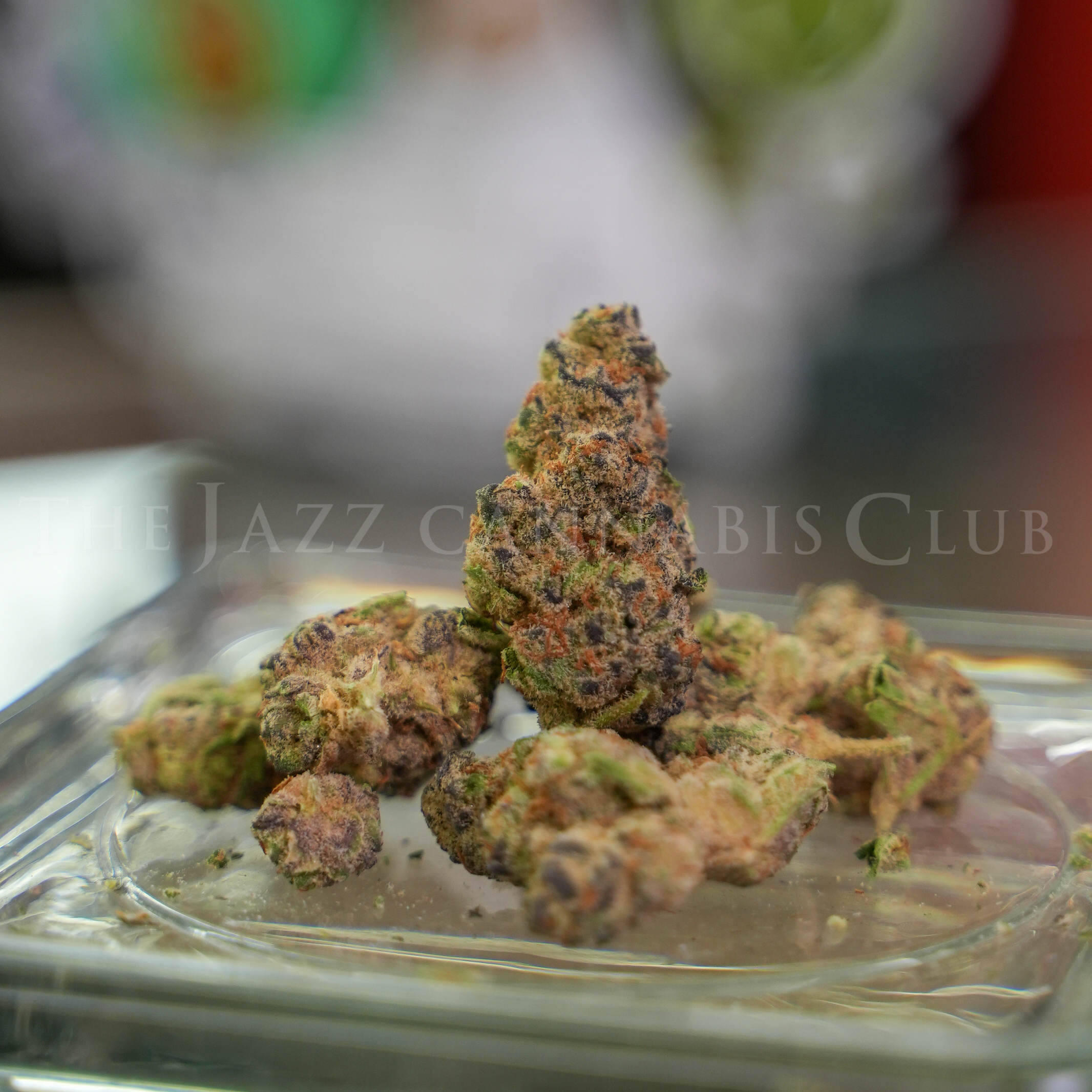Photograph of product: The 8th White Boy Rick - Grape Head Pre Pack Flower - 3.5g