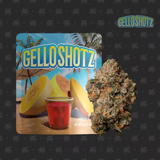 Photograph of product: 8th - Gello Shotz - 3.5g