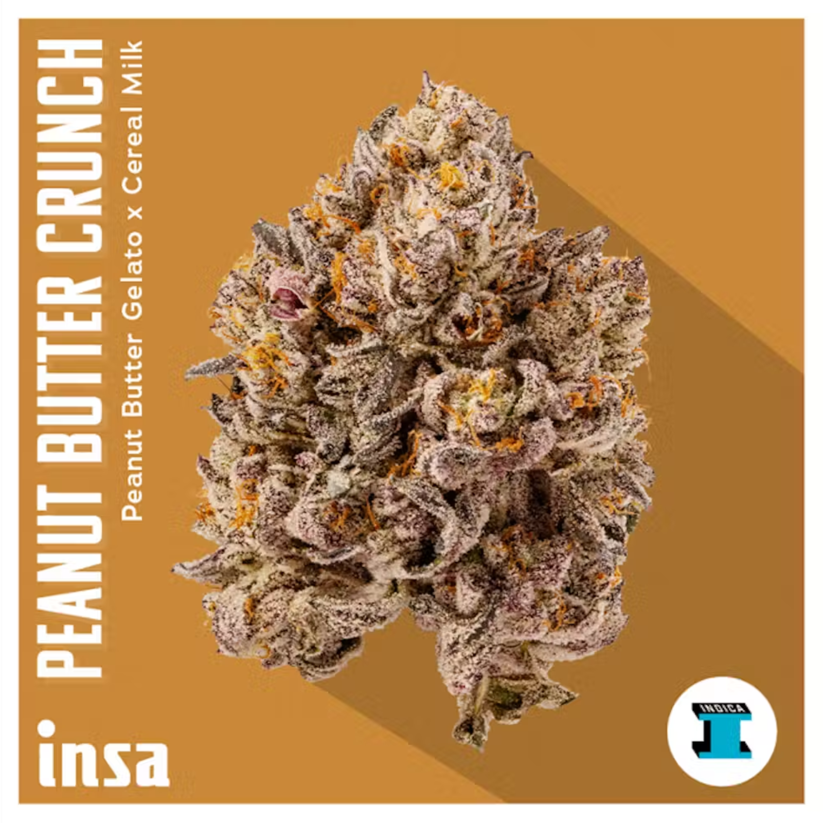 Photograph of product: 3.5g | Peanut Butter Crunch | INSA