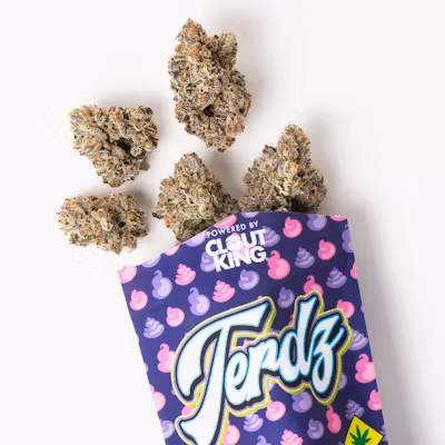 Photograph of product: Clout King - Pre-Pack Flower - (3.5g) - Oui'd - **TERDZ**