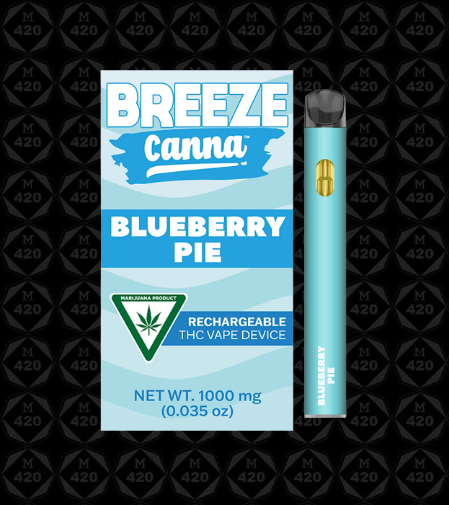 Photograph of product: DVP - 1g Blueberry Pie Hybrid Disposable Vape - Breeze