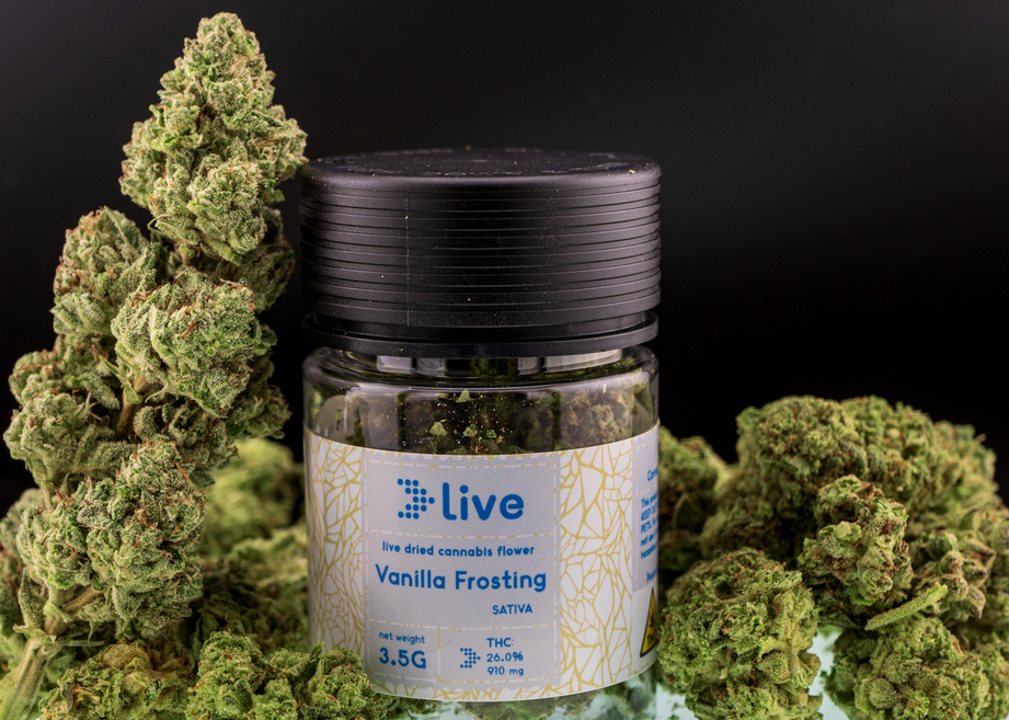 Photograph of product: Live: Vanilla Frosting - 3.5g