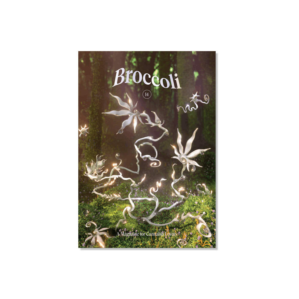 Photograph of product: Broccoli Magazine Issue 14 - 