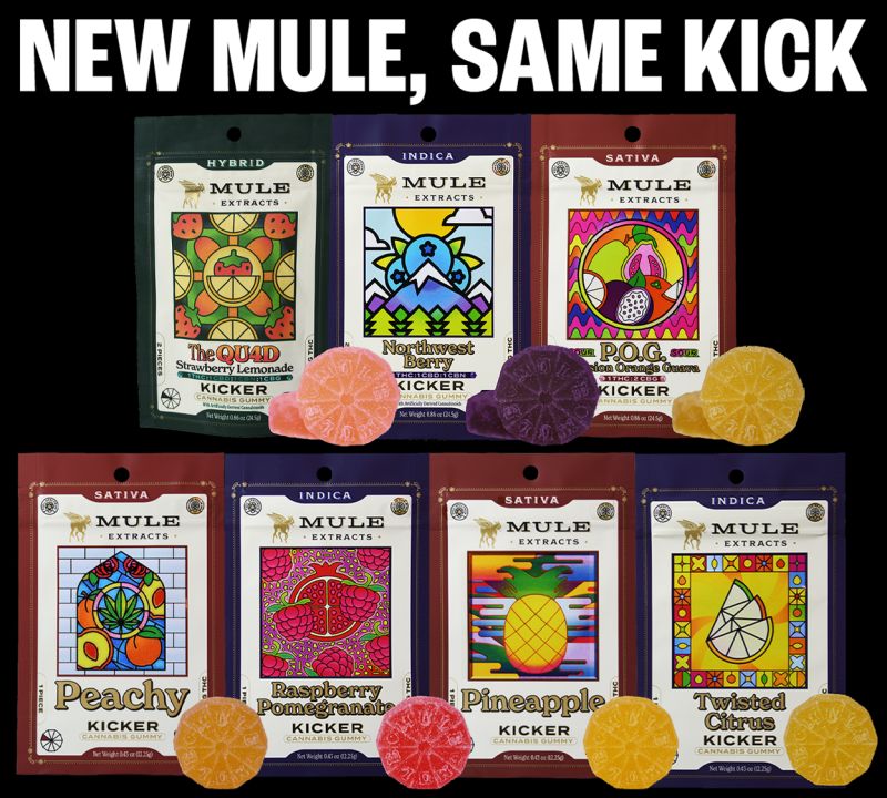 Photograph of product: Mule | Dragon Fruit 1:1 TH-oui:CBD 2 piece Kicker Gummy | 100mg