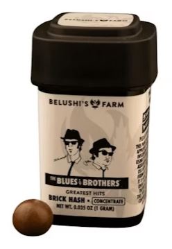 Photograph of product: Ice Cream Cake | Brick au chocolat