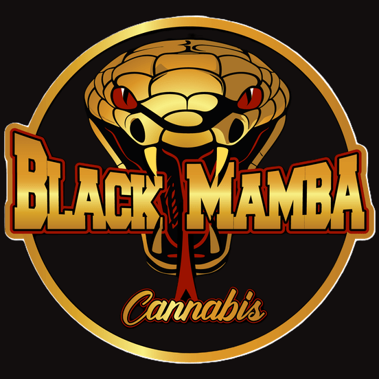 Photograph of product: Black Mamba - Gelato 1.2g Preroll - 