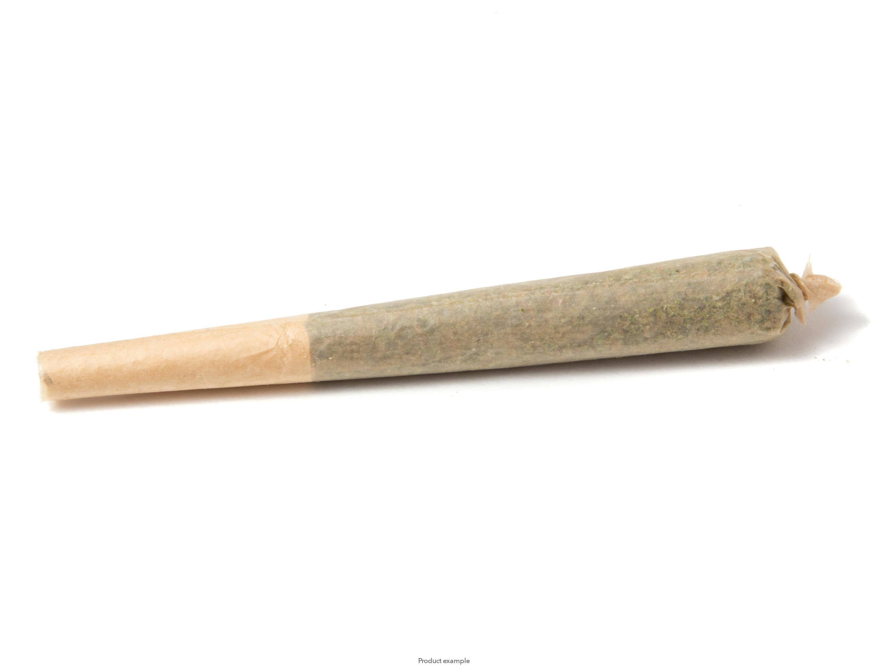 Photograph of product: Mazapan 7 Pack Infused Pre-Roll Oui'd