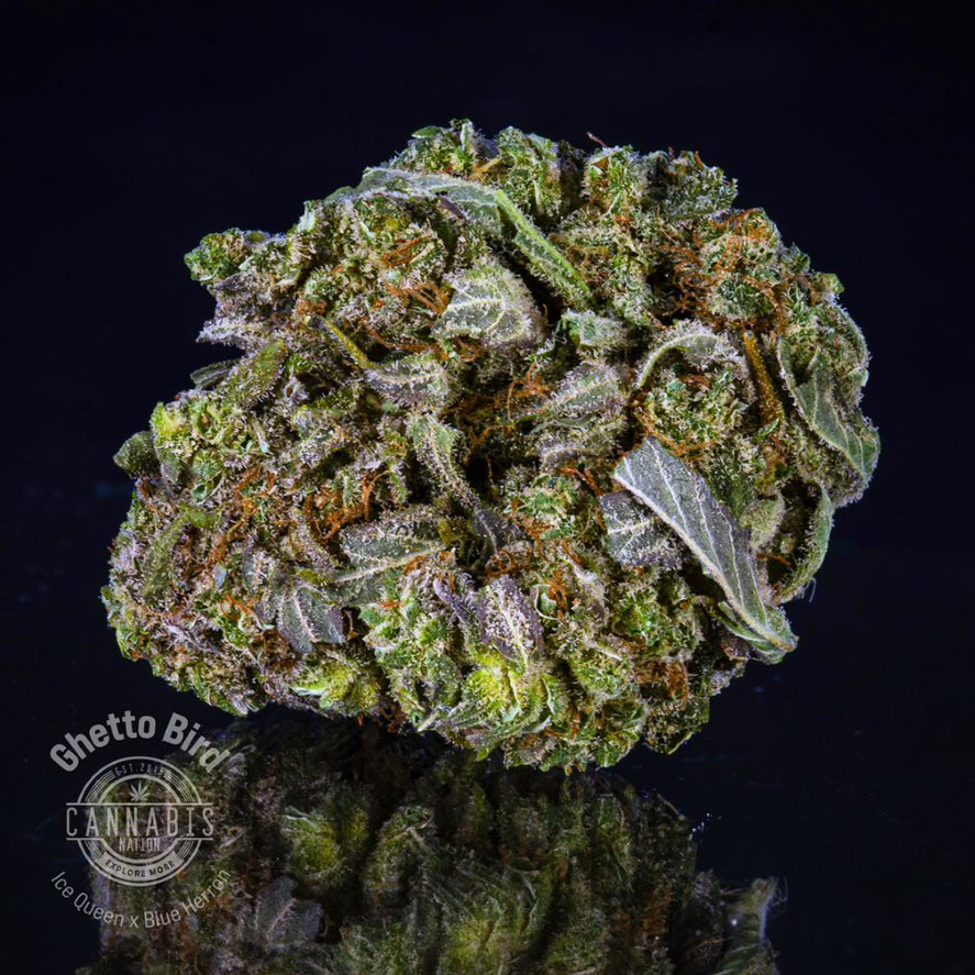 Photograph of product: Flower | Ghetto Bird - 14g