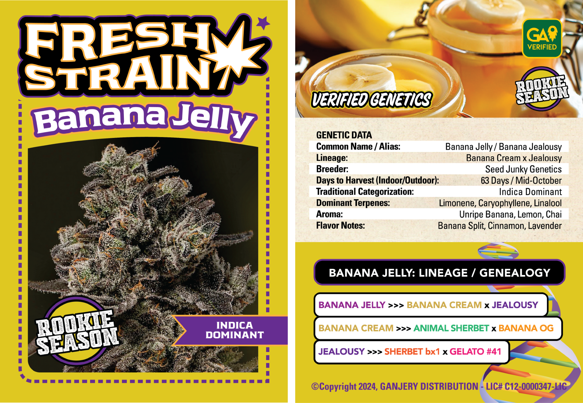 Photograph of product: Banana Jelly - 3.5g (IH) - Fresh Strain