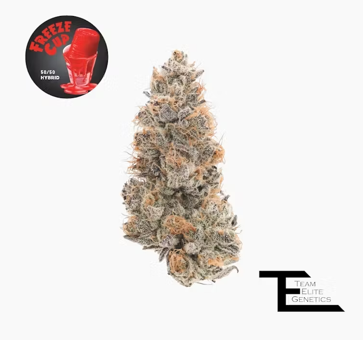 Photograph of product: TEG Freeze Cup Hybrid Flower 3.5g